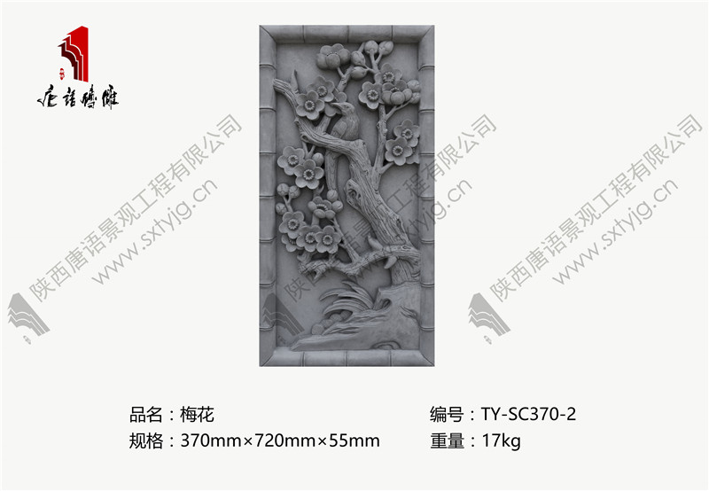 TY-SC370-2.jpg
